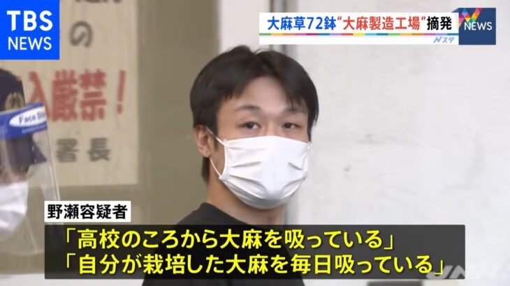 “大麻製造工場”摘発、７２鉢の大麻草と６００万円相当の乾燥大麻