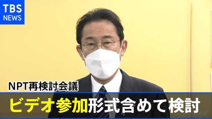 岸田首相 ＮＰＴ再検討会議は「ビデオ参加形式含めて検討」