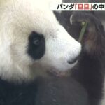 王子動物園パンダ「旦旦」の中国返還“１年延期”決定　コロナ影響と病状観察のため（2021年12月27日）