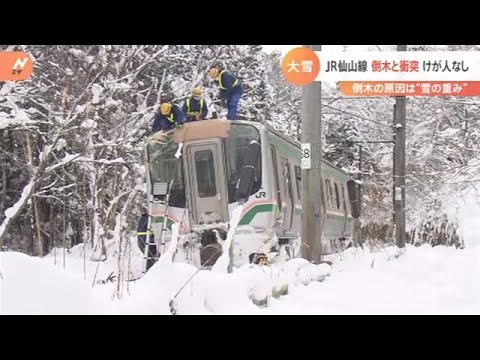 倒木の原因は“雪の重み”ＪＲ仙山線倒木と衝突けが人なし