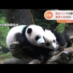 上野動物園の双子パンダ 来月１２日から一般公開