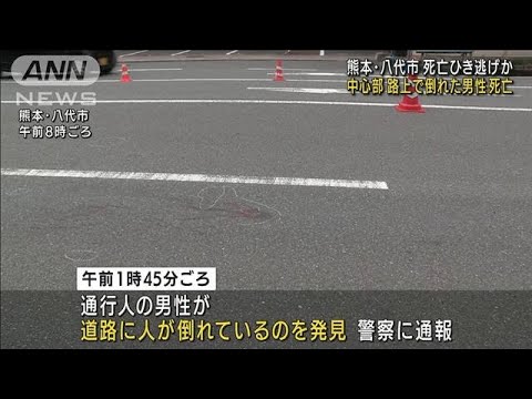 男性が路上に倒れ、死亡　ひき逃げか　熊本・八代市(2021年12月29日)