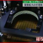 【輸入頼み】半導体不足と“国家事業”政府の描く戦略は