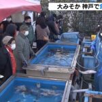 正月用のマダイやヒラメ…生きた魚をその場でしめて販売　神戸・平磯海づり公園（2021年12月31日）