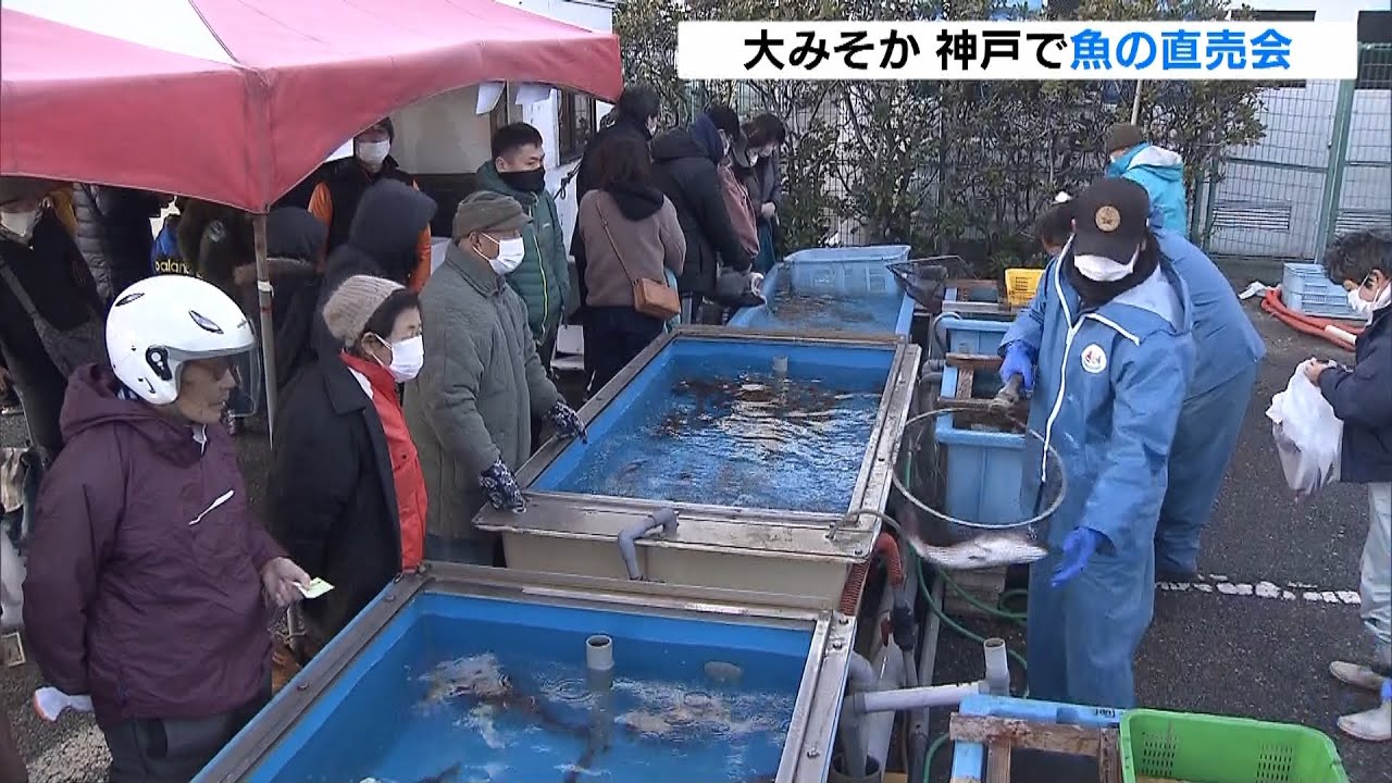 正月用のマダイやヒラメ…生きた魚をその場でしめて販売　神戸・平磯海づり公園（2021年12月31日）