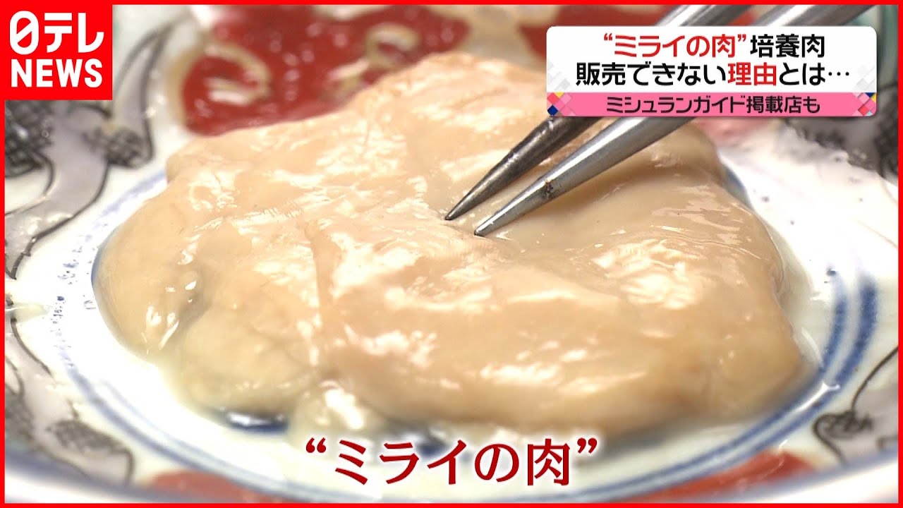 【ミライの肉】培養肉ルールなく販売できず…今なぜ必要？