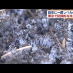 45年ぶり記録的冷え込み　東京都心でー2.2℃(2021年12月27日)