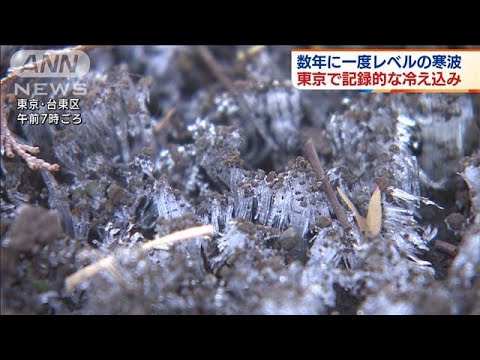 45年ぶり記録的冷え込み　東京都心でー2.2℃(2021年12月27日)