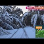【年末寒波】JAF緊急出動に密着 数台絡む事故も(2021年12月26日)