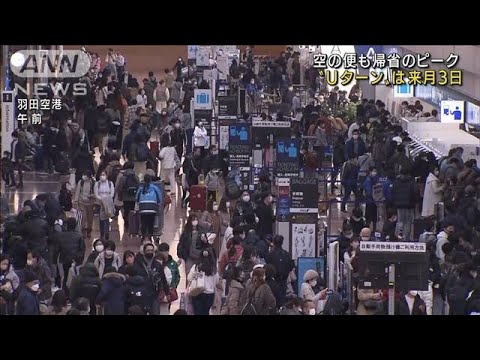 空の便も帰省ピーク　“Uターン”は1月3日が混雑(2021年12月29日)