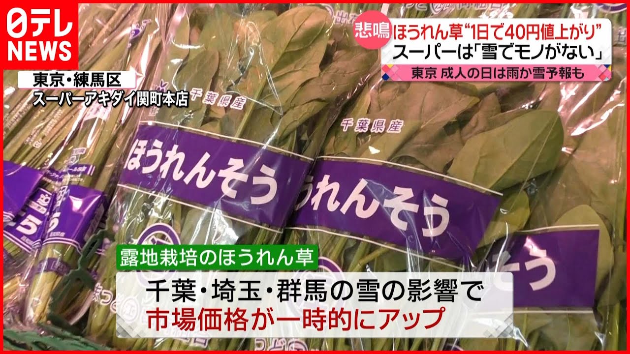 【悲鳴】“雪でモノがない” ほうれん草は1日で40円値上がり…大雪の影響続々