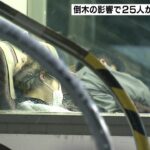 ＪＲ山陰本線　倒木影響で乗客が列車内で夜を明かす　元日も一部区間終日運転取りやめ（2022年1月1日）