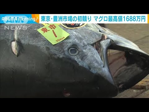 大間産本マグロ最高値1688万円　豊洲市場初競り(2022年1月5日)