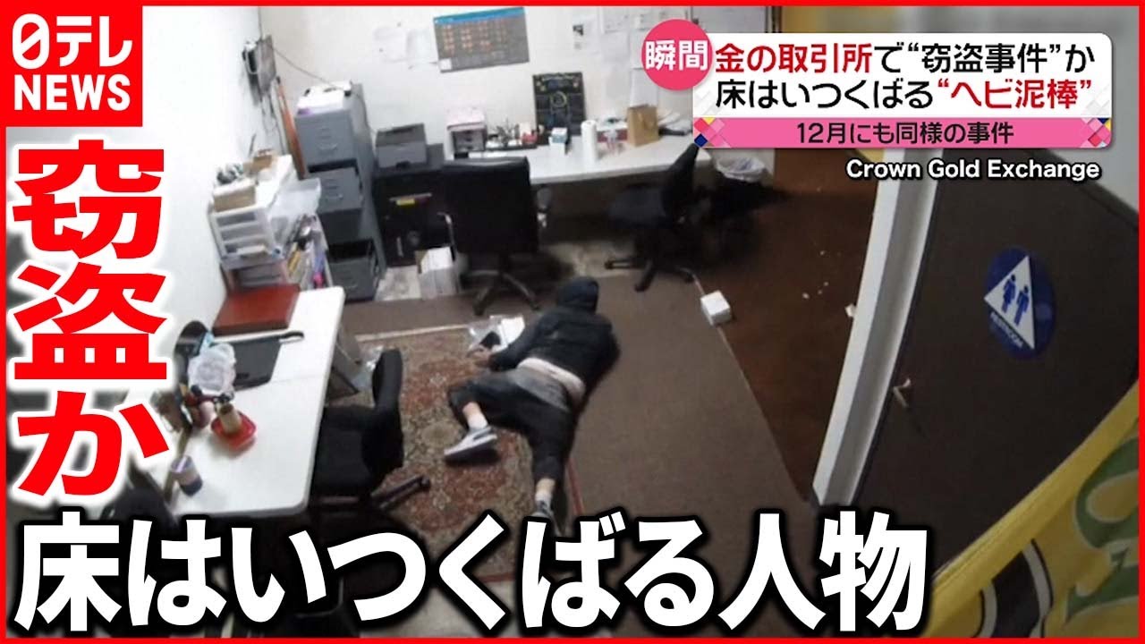 【ナゼ？】床はいつくばる”ヘビ泥棒” 173万円相当の“銀”を窃盗か アメリカ