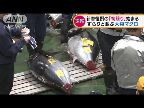 東京・豊洲市場　新春恒例マグロの「初競り」始まる(2022年1月5日)