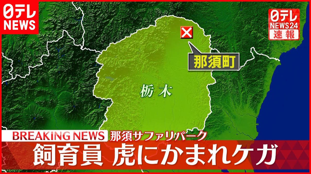 【速報】サファリパークで飼育員が虎にかまれケガ
