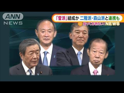 「菅派」結成か　二階派と連携も・・・参院選に向け動き(2022年1月5日)