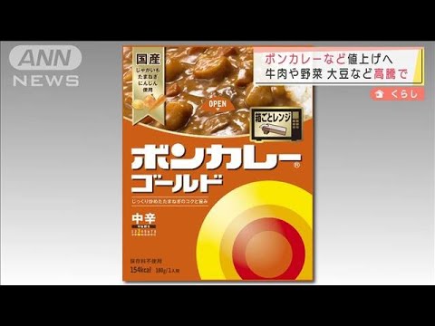 ボンカレーなど値上げへ　牛肉や野菜など高騰で(2022年1月21日)