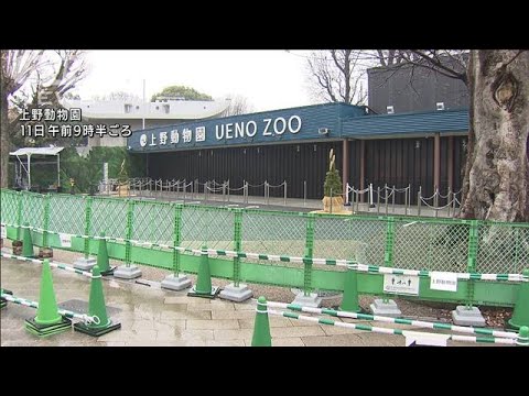 上野動物園など都立施設が休館　感染拡大を受け(2022年1月11日)