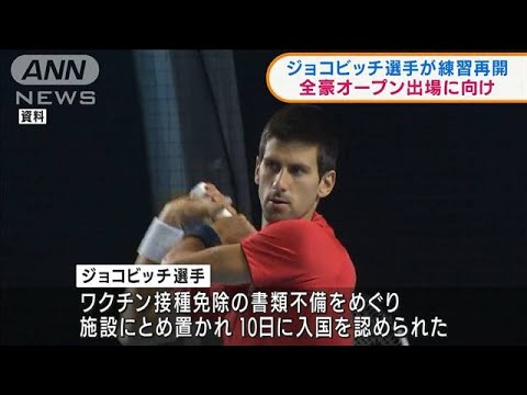 豪“入国”のジョコビッチ選手　コートでプレー(2022年1月12日)