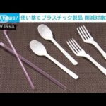 使い捨てプラスチック商品　削減対象決まる(2022年1月15日)