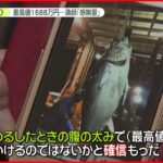 【初競り】 “一番マグロ”釣った漁師「感無量」 今年の最高値は1688万円