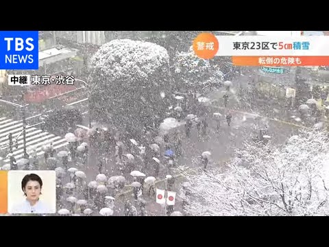 東京２３区で５センチ積雪　今後の予報は