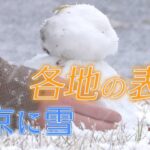 東京都心で積雪を観測 おととし３月以来