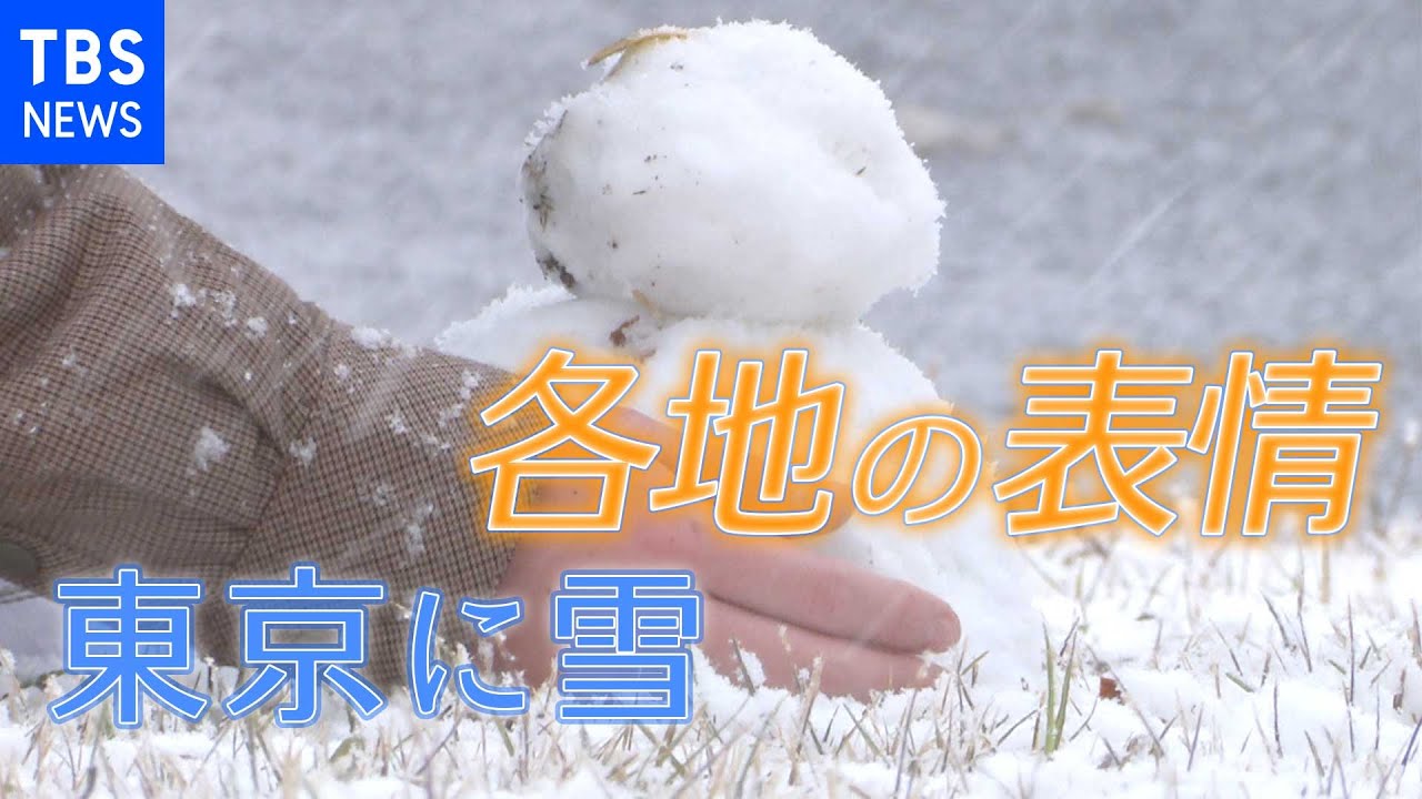 東京都心で積雪を観測 おととし３月以来