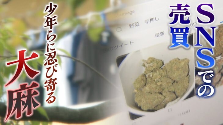 【特集】「過去最多の１３０人以上」大阪で『大麻取締法違反により摘発の少年ら』背景にＳＮＳでの売買　一方で大麻で摘発の少年ら「母親の前で捕まり申し訳なくて」(2022年1月5日)