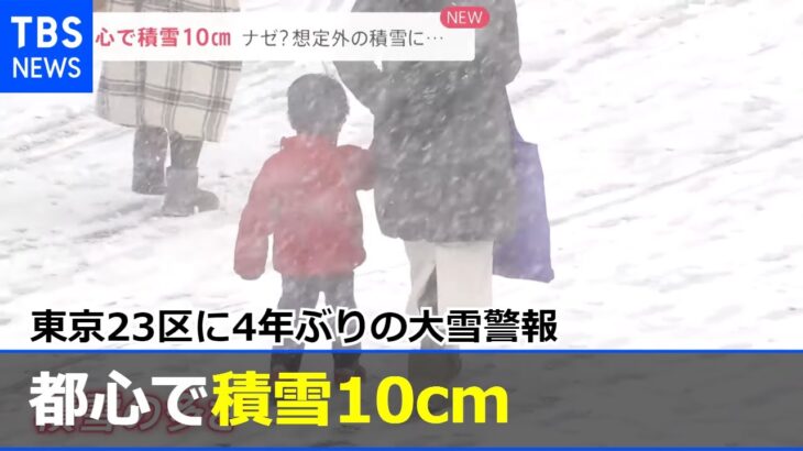 都心で積雪１０ｃｍ 東京２３区に４年ぶりの大雪警報【news23】