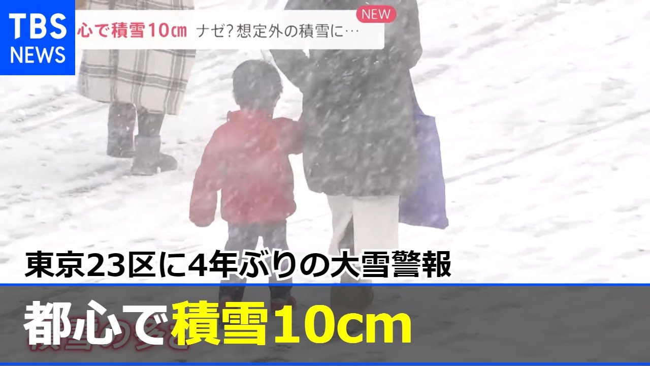 都心で積雪10cm 東京23区に4年ぶりの大雪警報【news23】