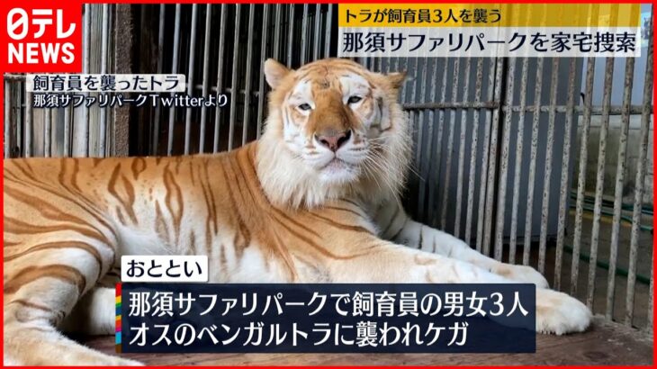 【トラ襲う】飼育員けが　那須サファリパークを家宅捜索