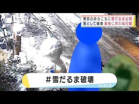 東京のあちこちに雪だるま　落として破壊も最後に・・・(2022年1月7日)