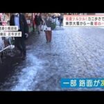 大雪で首都高は大混乱　一晩中立ち往生する車も　一夜明け　銀世界の東京は・・・(2022年1月7日)