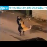 暴れるライオン抱き街中を歩く女性・・・何で？猫かっ！ツッコミどころ満載の映像(2022年1月8日)