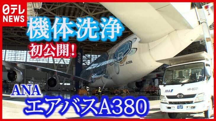 【機体洗浄のワザ】高さ24ｍの尾翼も“人の手”で…初公開！ANA「エアバスA380」“フライングホヌ”