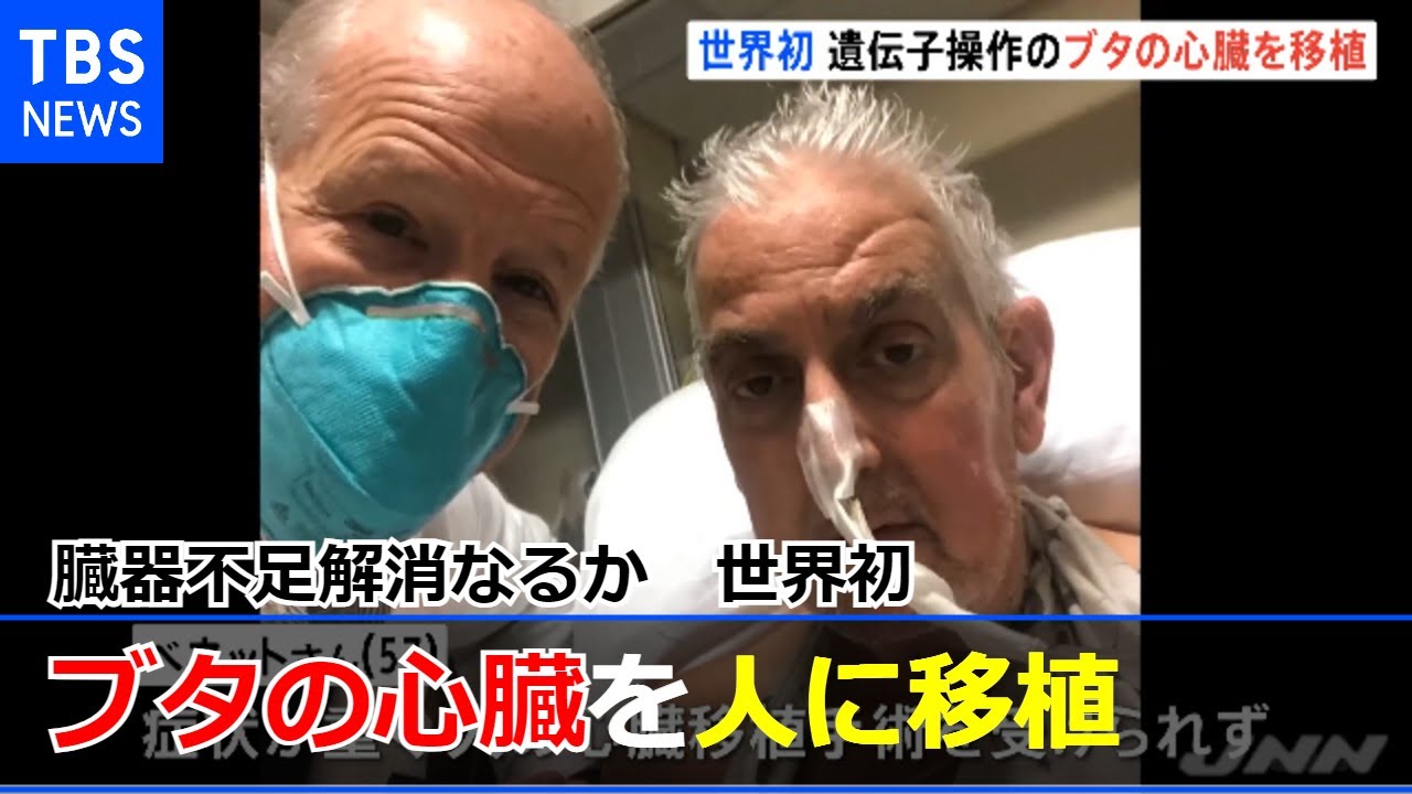 米 遺伝子操作されたブタの心臓を人に移植 世界初