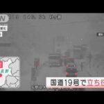 「集中降雪だった」長野の国道で立ち往生　荒天もたらす“2つ玉低気圧”(2022年1月11日)
