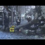 「歩いていても誰もいない」大雪で倒木など　北海道(2022年1月12日)