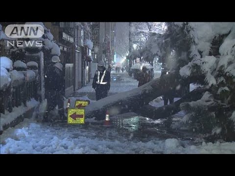 「歩いていても誰もいない」大雪で倒木など　北海道(2022年1月12日)