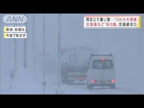 「ありえない!」猛吹雪でゴーグル通勤　北海道や東北で“冬の嵐”「今年は降りすぎ」(2022年1月12日)