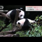 上野動物園で双子のパンダが限定公開　鑑賞時間はわずか1分も朝5時から列が・・・(2022年1月12日)