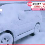 【きょうの一日】北日本で猛吹雪 倒木被害 双子パンダ公開も
