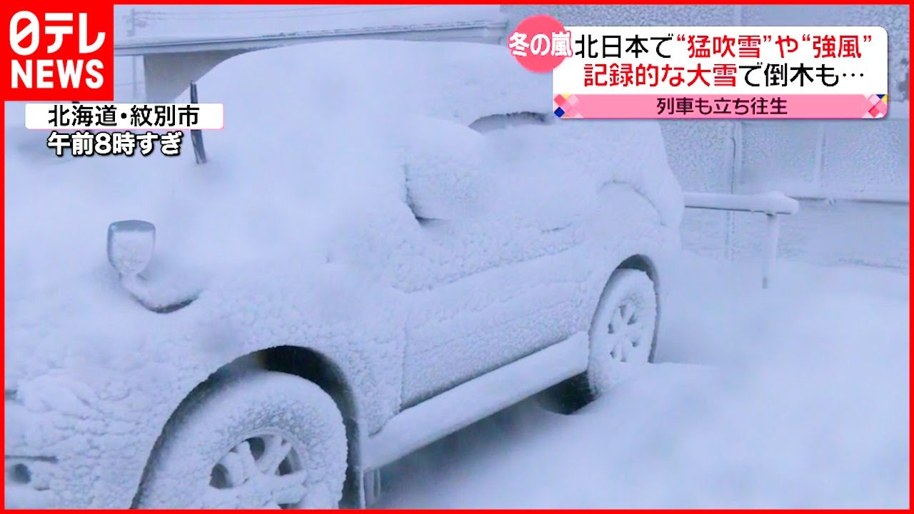 【きょうの一日】北日本で猛吹雪 倒木被害 双子パンダ公開も