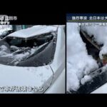 “強烈寒波”北日本は大荒れで事故相次ぐ・・・暴風雪に警戒(2022年1月12日)