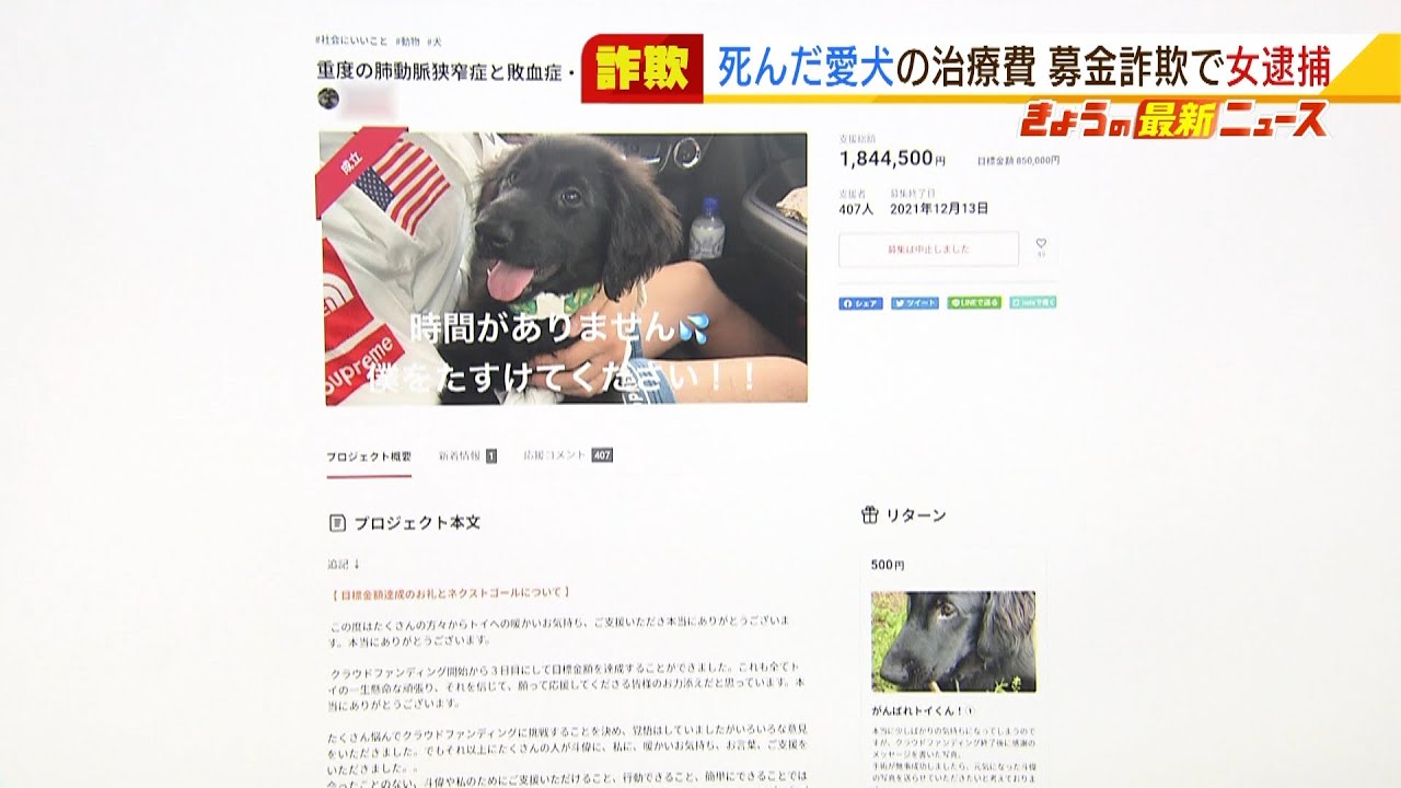 既に死んだ愛犬を『生きているように装い』…クラファンで治療費を募集　詐欺未遂容疑で26歳の女逮捕(2022年1月13日)