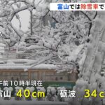 富山は積雪４０ｃｍ 除雪車にはねられ死亡事故も