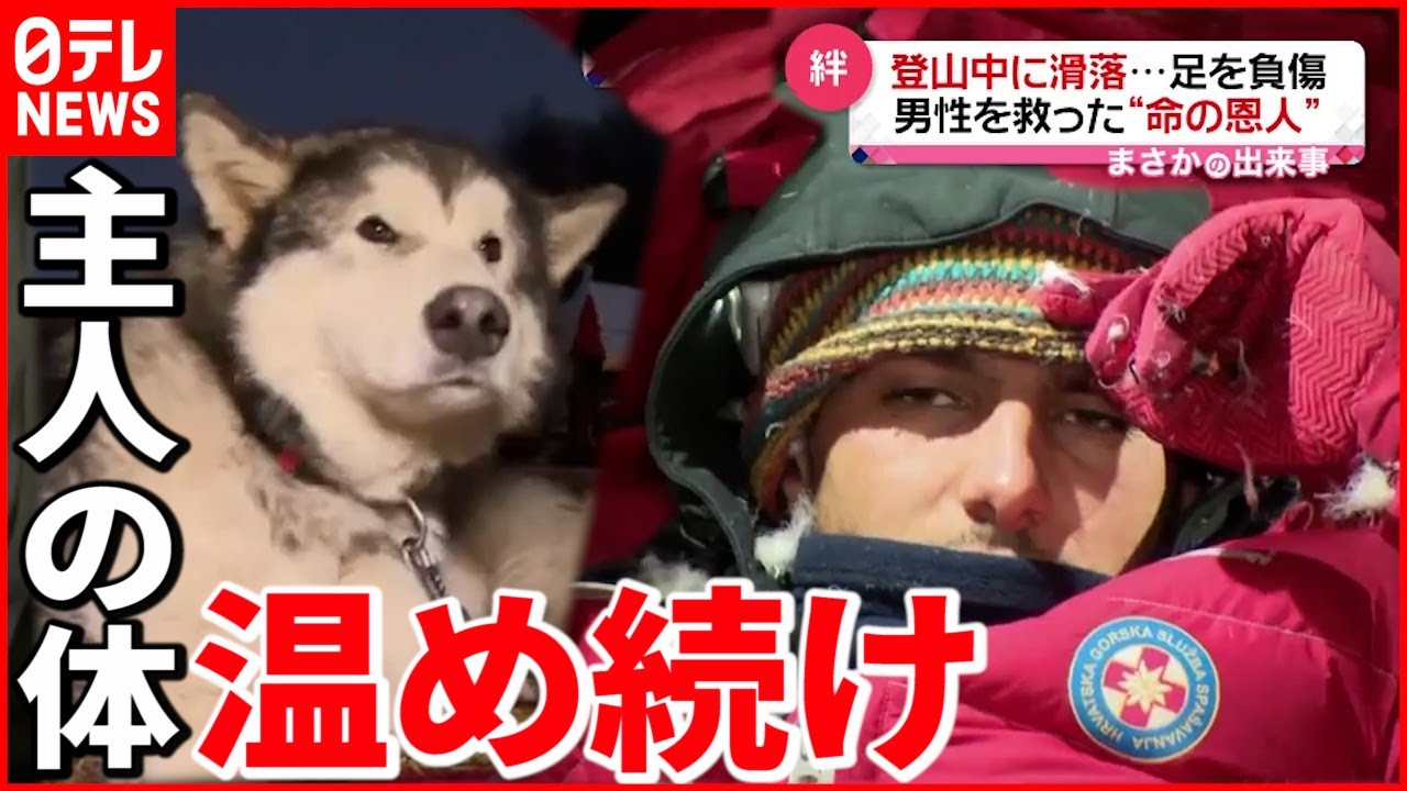 【まさか】登山中に滑落し骨折… 愛犬が主人の体を温め続け無事救助　クロアチア