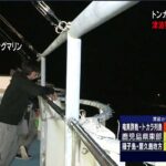 トンガで発生の噴火で津波警報、沿岸で被害の予想